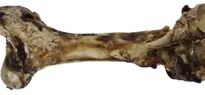 Petsnack dinobot xxl