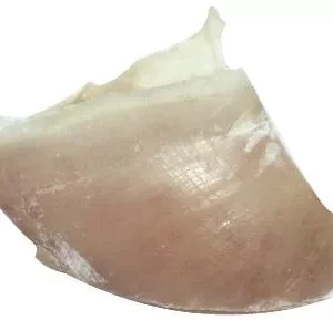 Dogstar kalfshoeven groot