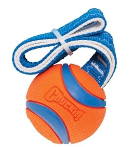 Chuckit! ultra tug