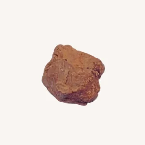 Olijfboom kauwwortel