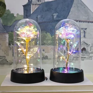 Eeuwige Roos LED Romantisch Cadeau