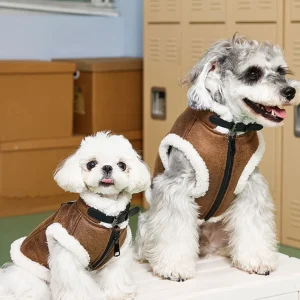 Warme Winddichte Hondenjas Kat voor Winterdagen